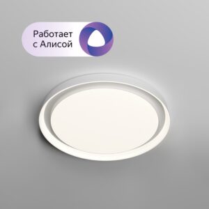 DK6516-WH Накладной светильник со встроенным светодиодом, 50W, IP 20, 3000K - 6500K, управление пульт Д/У (в комплекте) и Wi-Fi 2,4 Ггц. Эко система Smart Life, Яндекс.Алиса, белый, металл, полимер